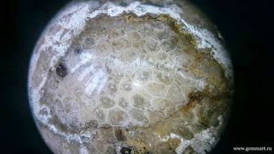 Коралл замещенный кварцем, шар. Около 100мм.