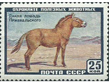 2240. Фауна СССР. Лошадь Пржевальского
