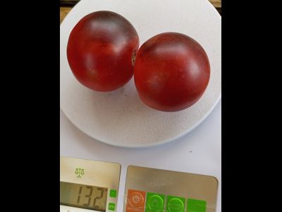 Томат Гондвана роза (Dwarf Gondwana Rose)