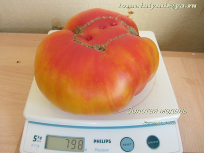 Томат Золотая медаль (Gold Medal)