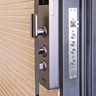 Стальная дверь   Antro. Заказная модель.