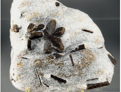 Ставролит, тройник с фрагментами кристаллов на сланце. Россия. 100*95*30мм