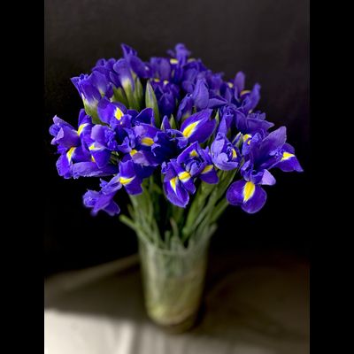 Ирисы 51 шт