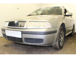 Защита радиатора Skoda Oktavia 2000-2011 black