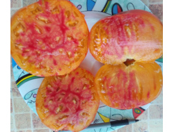 Томат Звездчатый из Беллинзоны (Stellato di Bellinzona)