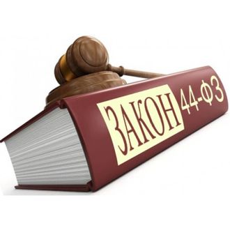 Экспертиза государственных закупок