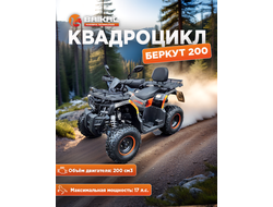 Квадроцикл BAIKAL БЕРКУТ 200 оранжевый
