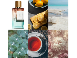 Goldfield & Banks Australia Pacific Rock Flower