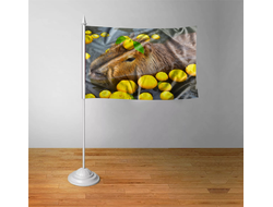 Флажок настольный Капибара, Kapibara-san №38