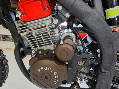 Regulmoto ZR PR 300 4 valves 6 Gear