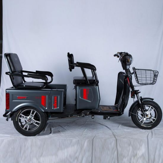 E-trike Pass&Cargo