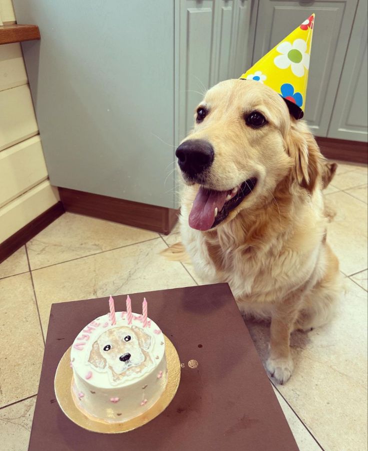 Луна / РУССКОЕ ЗОЛОТО ПЕРВАЯ ЛЕДИ /, 3 года