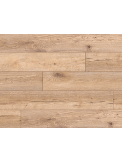 Classen Ламинат Expedition 52782 Дуб Масая