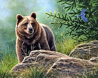 Алмазная картина (мозаика) &quot;Медведь в летнем лесу&quot; 40*50/50*70 см