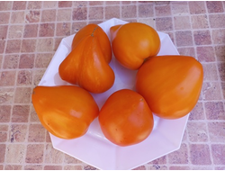 Томат Чудо Земли оранжевое