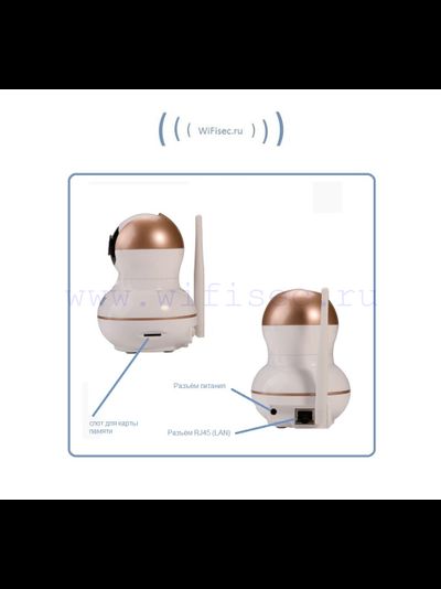 BW. Видеоняня /WiFi-LAN видеокамера моторизированная с DVR , HD (163Eye/Yoosee)