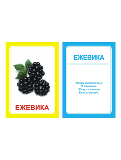 Логопедические картинки для автоматизации звука "Ж" (комплект 30 шт)