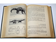 Соколов В. Е. Систематика млекопитающих. В 3 томах. Том 3. М.: Высшая школа. 1979г.