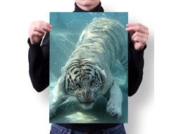 Плакат год Тигра №9