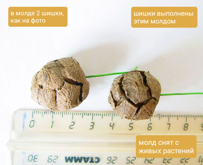 "Шишки кипариса" силиконовый молд .