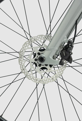 Велосипед TT246/ 9ск 20" серый рама 11"