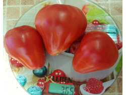 Томат Трюфель густо-малиновый