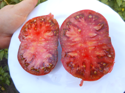 Томат Гигант Кубы чёрный (Cuba giant black, USA)