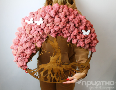 ЖИВАЯ ЭКО-КАРТИНА 1043