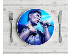 Тарелка Сектор Газа, Юрий Хой №4