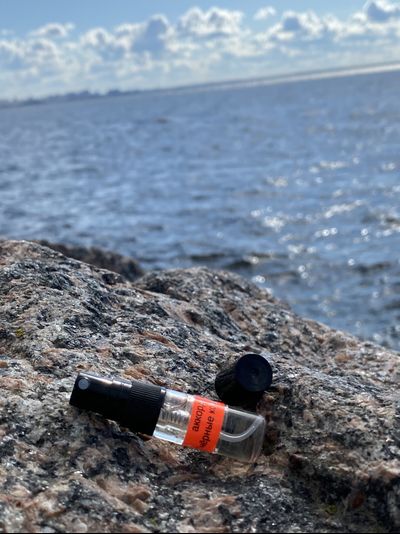 Духи АККОРД: ЧЁРНЫЕ КОШКИ 3,5 мл