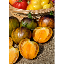 Томат Охровая Вуаль