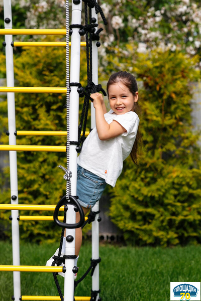 Детский спортивный комплекс для дачи ROMANA Богатырь (серый/желтый) (с фанерными качелями)