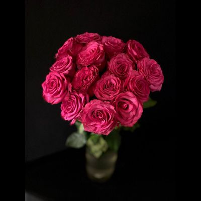 Роза  Россия 60 см. 15 шт