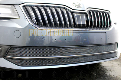 Защита радиатора Skoda Superb 2015- (2 части) black