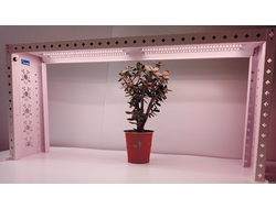 СКУ02-100-264-GR Fitomix Windowsill