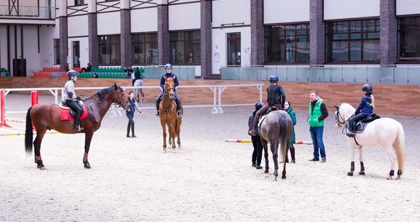 кск юность москвы. кск планерная. юность москвы конный. юность москвы конный. дарья калиненкова конный спорт.