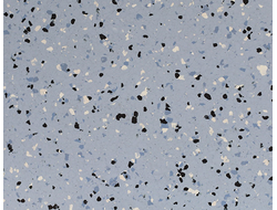 815 Pewter Pure Space Conductive токопроводящий линолеум с четырехчипсовым дизайном DLV Flooring