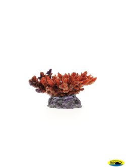 MA116R Коралл пластиковый красный 14*11*6,5см