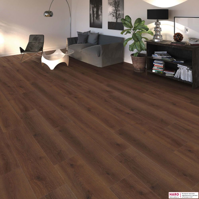 Декор ламината Haro Tritty 100 Campus Дуб Контура Дымчатый 541540 в интерьере комнаты