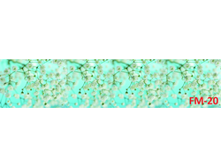FM-020 БЕЛЫЕ МЕЛКИЕ ЦВЕТЫ Глянцевая стеновая панель ALBICO(АЛЬБИКО) 2800*610*6мм.