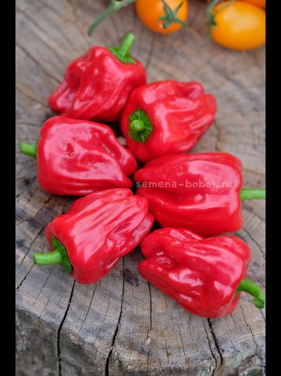 Перец сладкий Griolla De Cocina (Креольская Кухня), 10 шт