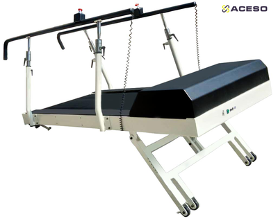 Беговая дорожка AMF 9943