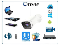 DE-W9317D Уличная WiFi/LAN телекамера с встроенным видеорегистратором, микрофоном, динамиком (интерком), 4К 8MP (-30) (CamHi)