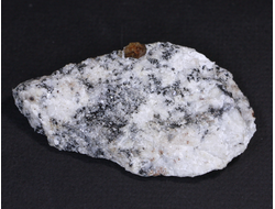 Циркон (кристаллы в породе), Россия, Южный Урал, Вишневые горы (66*38*16 мм, 33 г) №17772