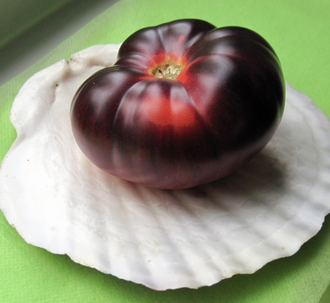 Семена томата Голубая красота