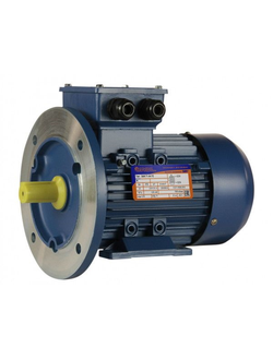 Электродвигатель 5АИ 71B8 (0,25 кВт) IM 2081