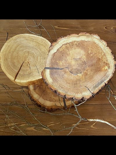 подставка из дуба двойная