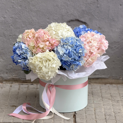 Коробка из 9 гортензий