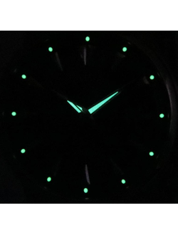 Наручные часы Citizen NK0009-82L