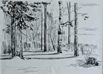 "Лесной пейзаж" бумага тушь Цибульник В.А. 1955 год